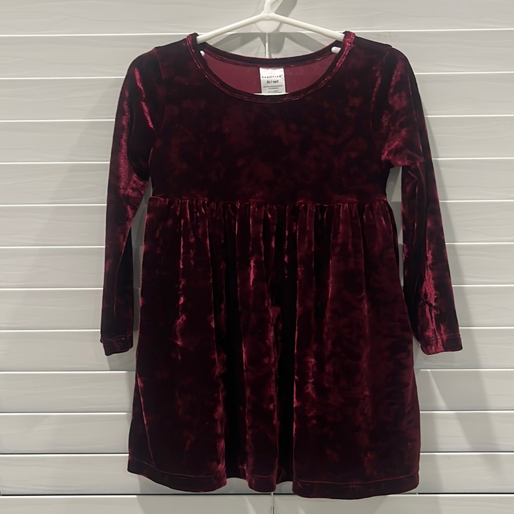 Healthtex Velvet Long Sleeve 2T top